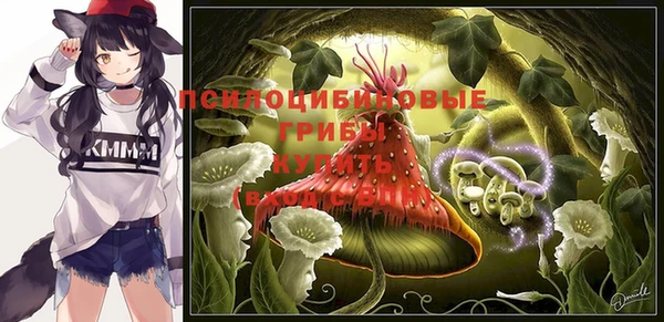 меф Алексин