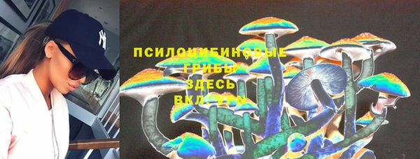 амф Абинск